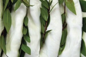 mozzarella-nella-mortella-le-starze